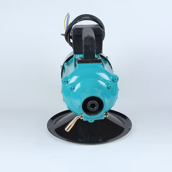 진동 포커용 단일 위상 3HP ​​2.2kw 전기 콘크리트 진동기 모터